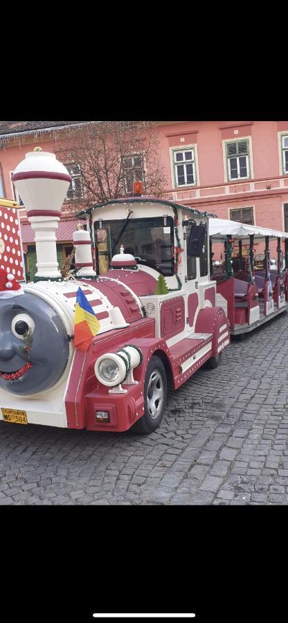 Made In Transilvania シギショアラ エクステリア 写真